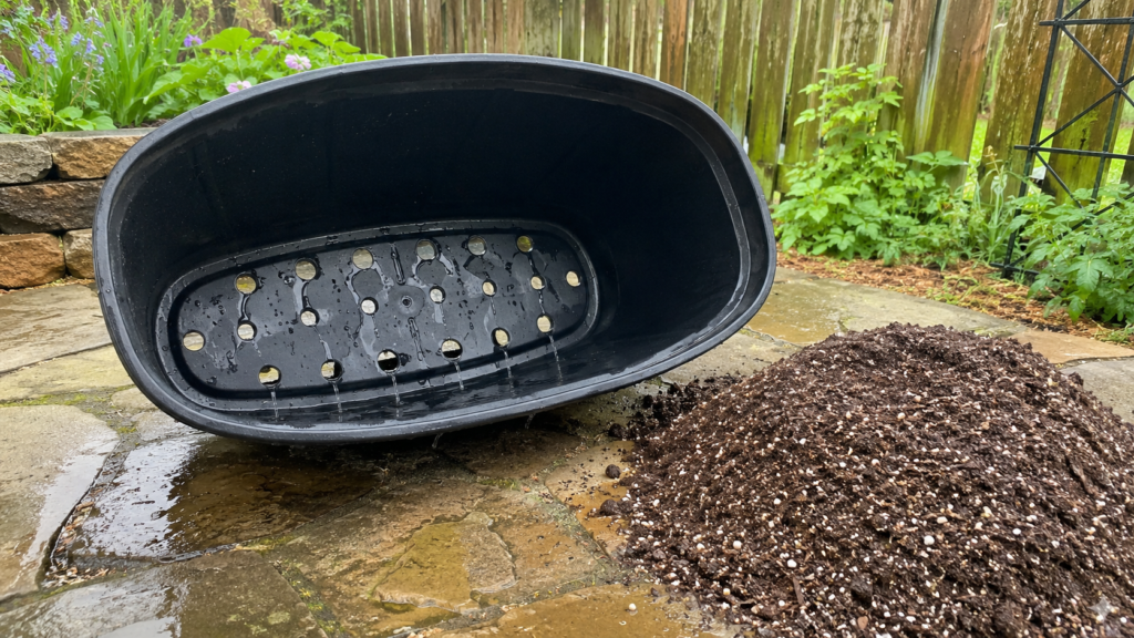 Potato drainage