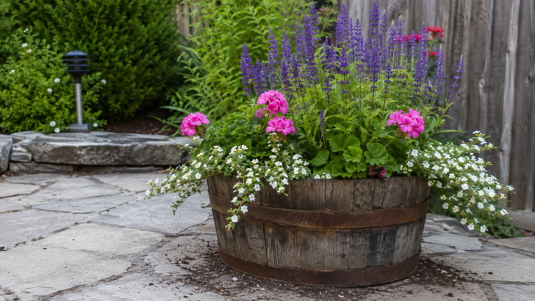 Whiskey Barrel Planter Ideas